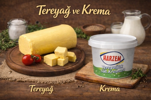 Tereyağ ve Krema Çeşitleri | harzem.com.tr